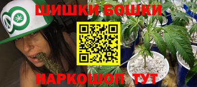 Альфа ПВП Будённовск
