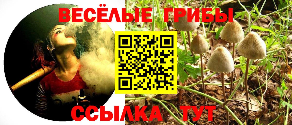 дарнет шоп  Вход с VPN  Тихвин  Галлюциногенные грибы прущие грибы 